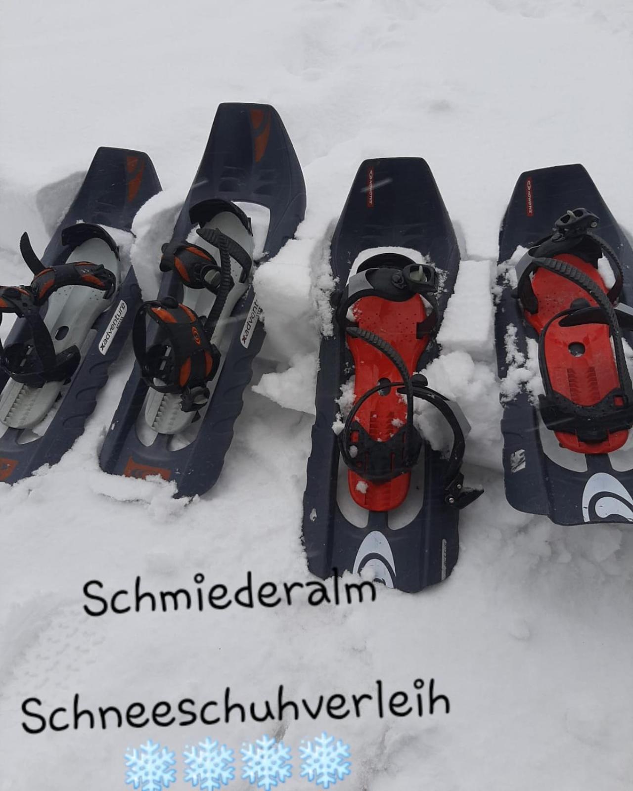 Gasthof Schmiederalm Aldino Dış mekan fotoğraf