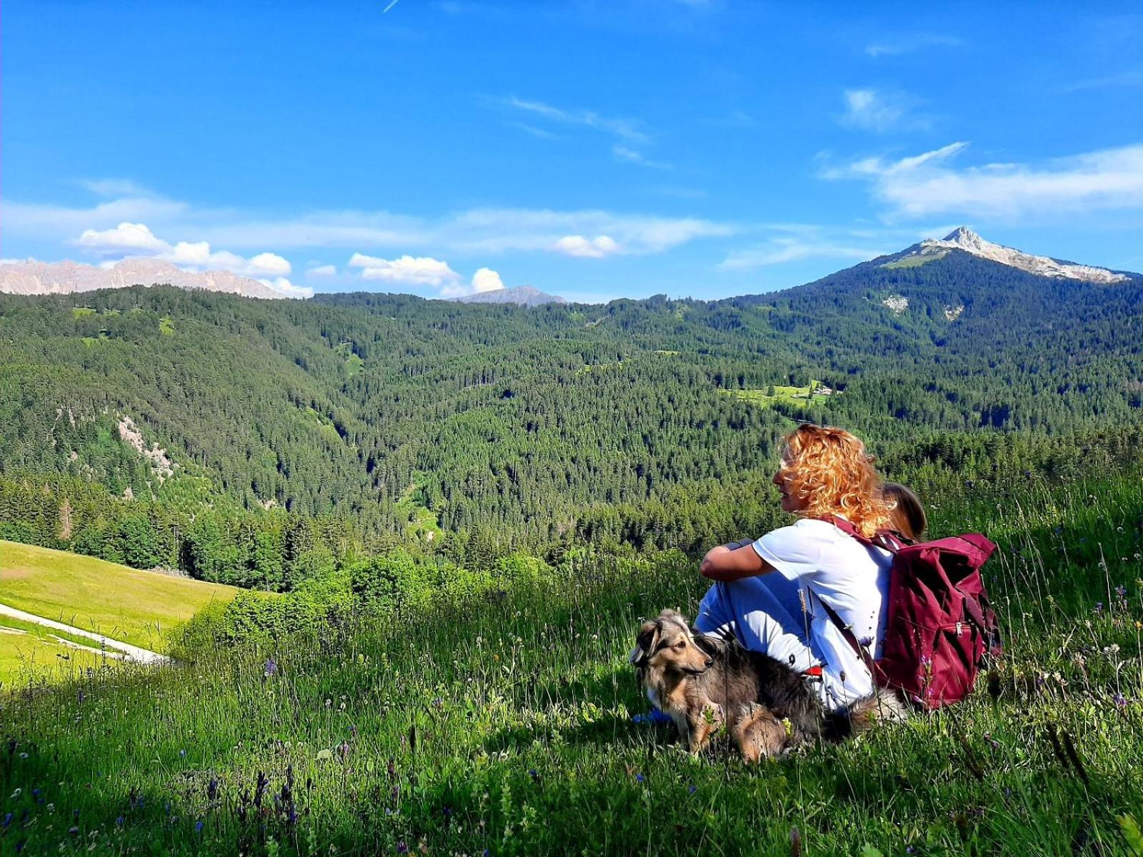 Gasthof Schmiederalm Aldino Dış mekan fotoğraf